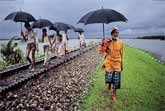 9 Tips For A Perfect Photograph