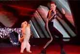 Ashleigh and Pudsey Win "Britain�s Got Talent" Final